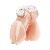 Прозрачная клетка целомудрия Acrylic See-thru Chastity Cage - BlueLine - купить с доставкой в Тамбове