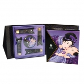 Подарочный набор Geishas secret из 5 предметов - Shunga - купить с доставкой в Тамбове