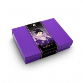 Подарочный набор Naughter Kit - Shunga - купить с доставкой в Тамбове