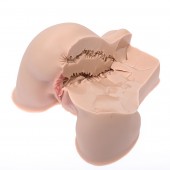 Мастурбатор-полуторс Naked Factory Kate - Naked Factory - в Тамбове купить с доставкой