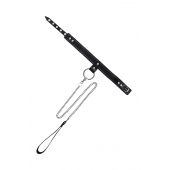 Черный узкий однослойный ошейник с серебристым поводком-цепочкой - Pecado - купить с доставкой в Тамбове