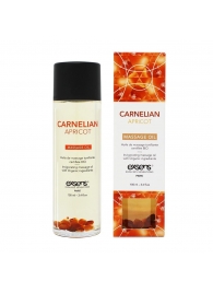 Органическое массажное масло CARNELIAN APRICOT - 100 мл. - Exsens - купить с доставкой в Тамбове