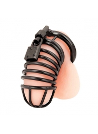 Черная металлическая клетка с замком Deluxe Chastity Cage - BlueLine - купить с доставкой в Тамбове