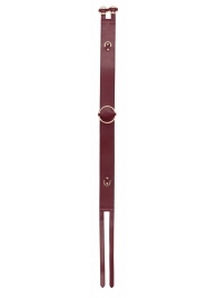 Бордовый ремень Halo Waist Belt - размер L-XL - Shots Media BV - купить с доставкой в Тамбове