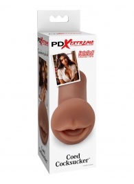 Мастурбатор-ротик Coed Cocksucker - Pipedream - в Тамбове купить с доставкой