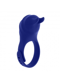 Синее эрекционное виброкольцо с клиторальной подушечкой и пультом ДУ Adjustable Fun Ring - Zero Tolerance - в Тамбове купить с доставкой