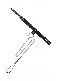 Черный узкий однослойный ошейник с серебристым поводком-цепочкой - Pecado - купить с доставкой в Тамбове