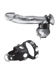 Утяжка для мошонки и пениса Cock Ring With 1  Ball Stretcher And Optional Weight Ring - BlueLine - купить с доставкой в Тамбове