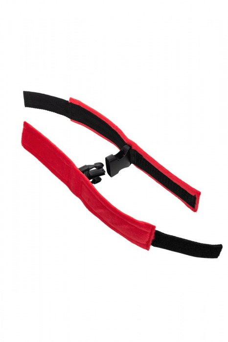 Красно-черные велюровые оковы Anonymo - ToyFa - купить с доставкой в Тамбове