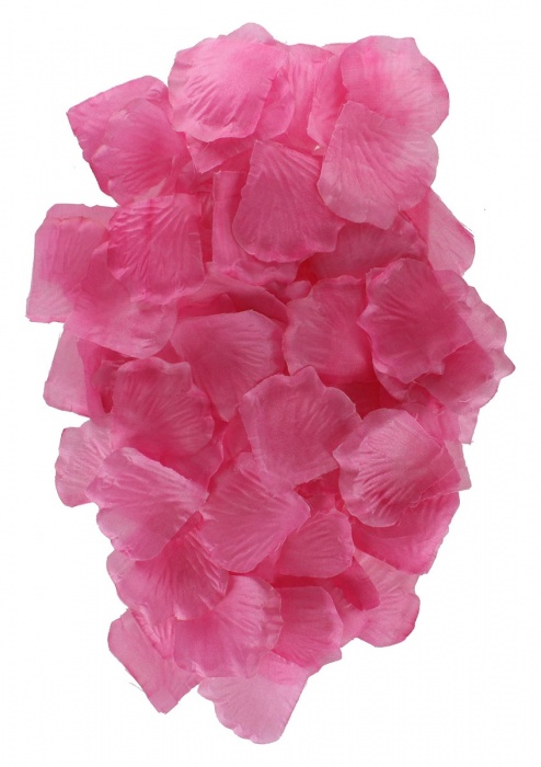 Эротический набор FANTASTIC PURPLE SEX TOY KIT - Toy Joy - купить с доставкой в Тамбове