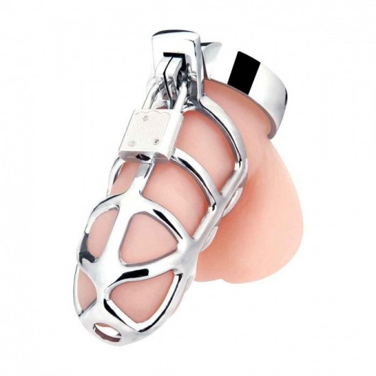 Серебристая металлическая клетка для члена с замком Enslave Cock Cage - BlueLine - купить с доставкой в Тамбове