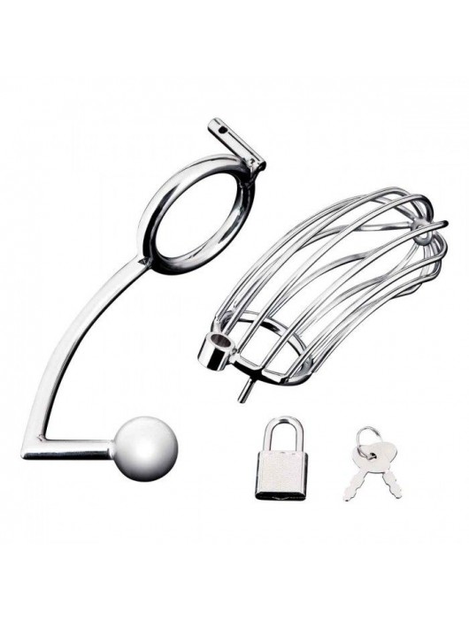 Серебристая металлическая клетка с анальным стимулятором Cock Cage - BlueLine - купить с доставкой в Тамбове