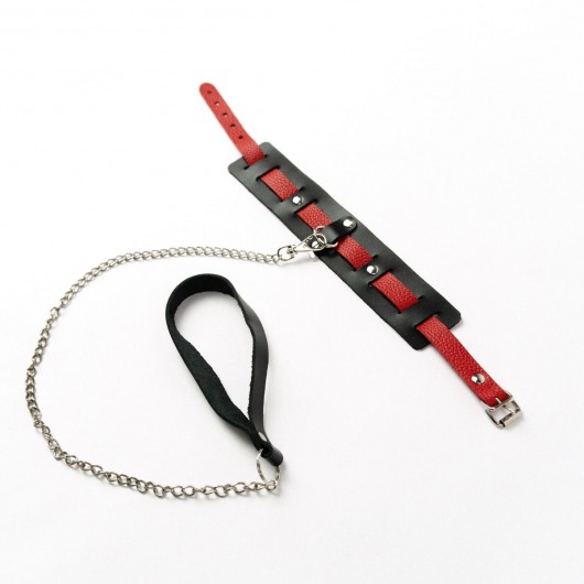 Черный ошейник с красным ремешком и поводком - Crazy Handmade - купить с доставкой в Тамбове Черный ошейник с красным ремешком и поводком - Crazy Handmade - купить с доставкой в Тамбове