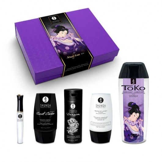 Подарочный набор Naughter Kit - Shunga - купить с доставкой в Тамбове