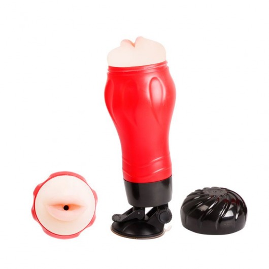 Мега-мастурбатор-ротик Flora - Baile - в Тамбове купить с доставкой