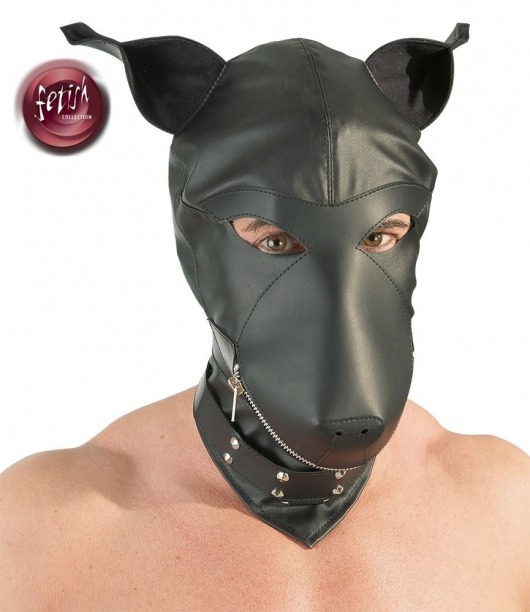 Шлем-маска Dog Mask в виде морды собаки - Orion - купить с доставкой в Тамбове