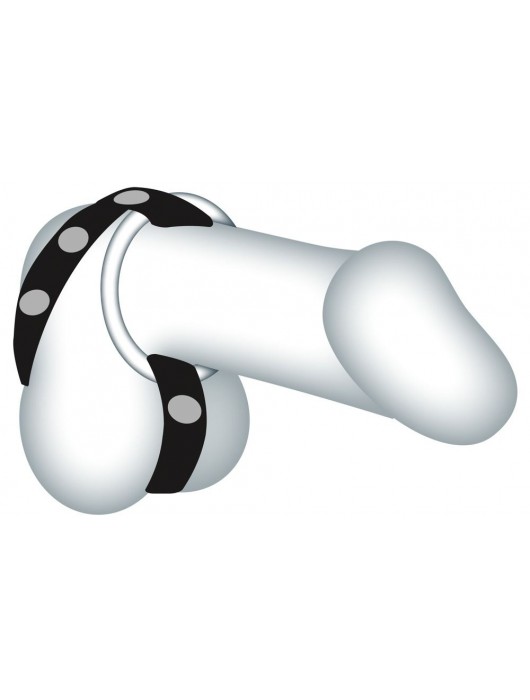 Подхват для мошонки с 3 съемными эрекционными кольцами Leder-Riemen - Orion - в Тамбове купить с доставкой