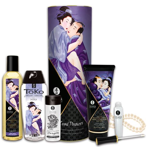 Подарочный набор CARNAL PLEASURES - Shunga - купить с доставкой в Тамбове