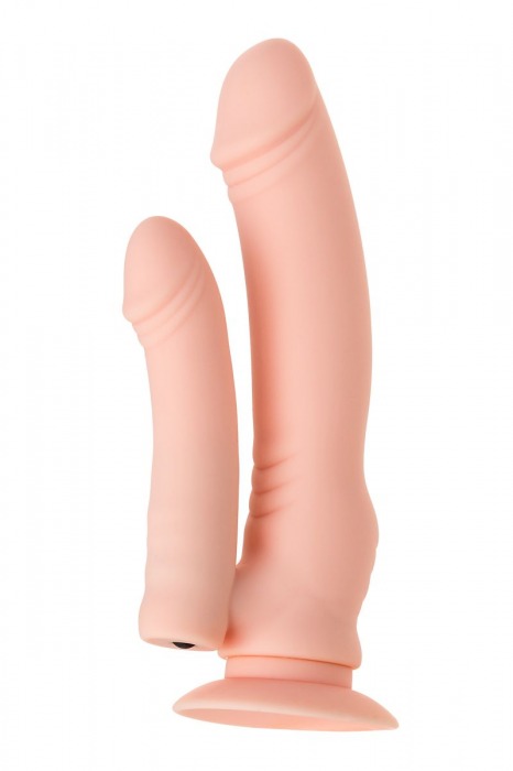 Двойной фаллоимитатор с присоской и съемной вибропулей - 19 см. - A-toys купить в Тамбове с доставкой в Orgasmix.ru Двойной фаллоимитатор с присоской и съемной вибропулей - 19 см. - A-toys