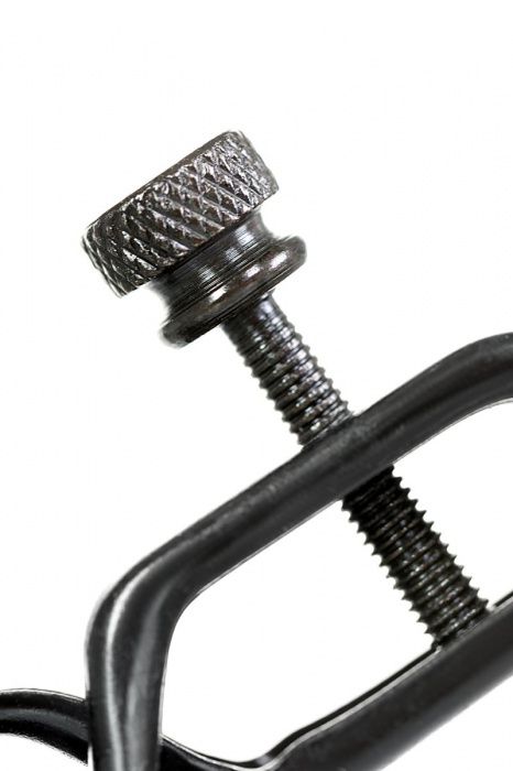 Черно-золотистые зажимы для сосков TOYFA Theatre - ToyFa - купить с доставкой в Тамбове