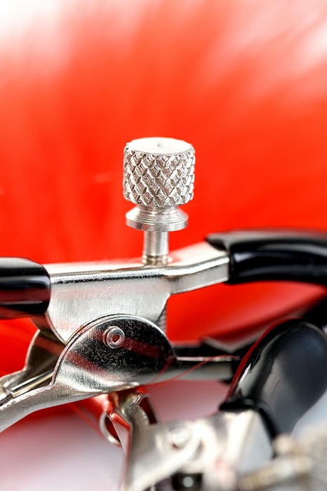 Зажимы для сосков с красным пухом Theatre - ToyFa - купить с доставкой в Тамбове